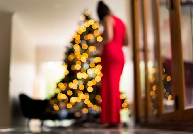 Ileana D' Cruz Married Her Boyfriend Andrew Kneebone