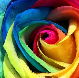 Hottest Wedding Colours Trends