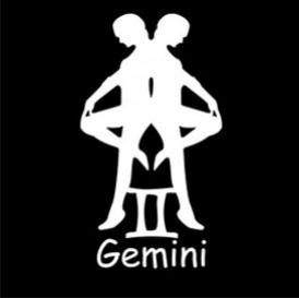 Know your Gemini Man
