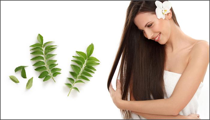 Image result for Curry leaves make your hair healthy, radiant