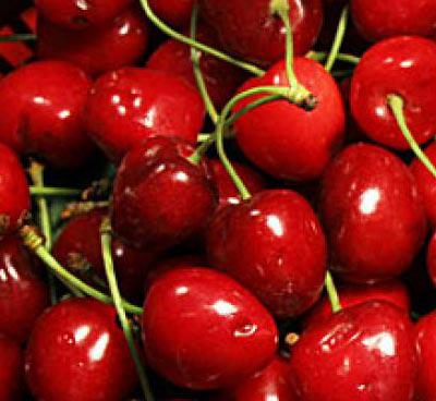 Top 10 Superfoods for Weight loss
