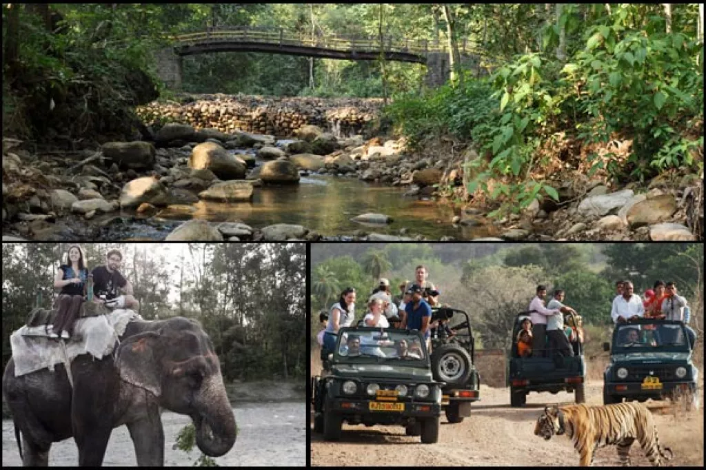 Best Honeymoon Destinations To Visit Between January And March