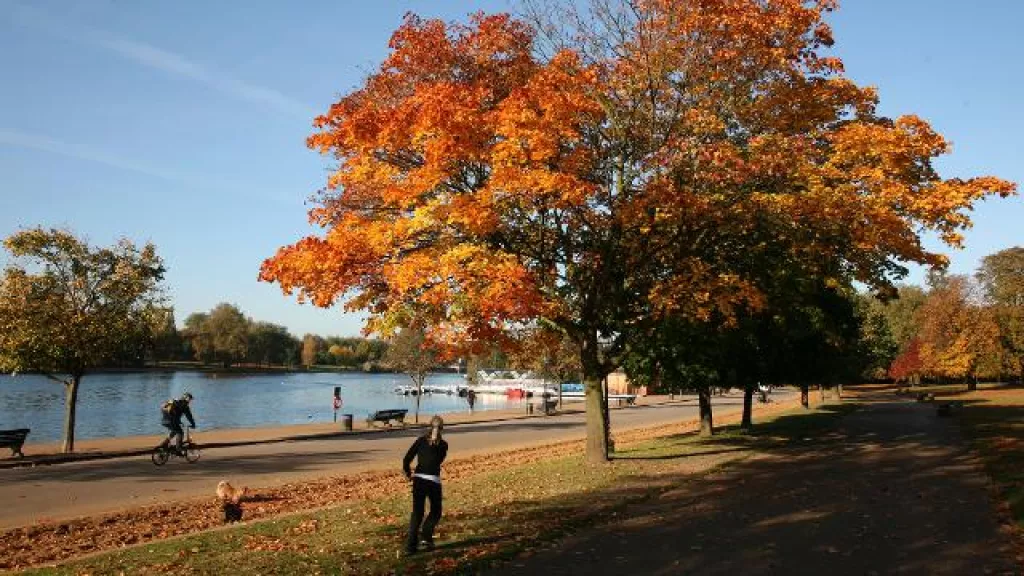 10 Things You Must Do In London For A Fun And Romantic Honeymoon