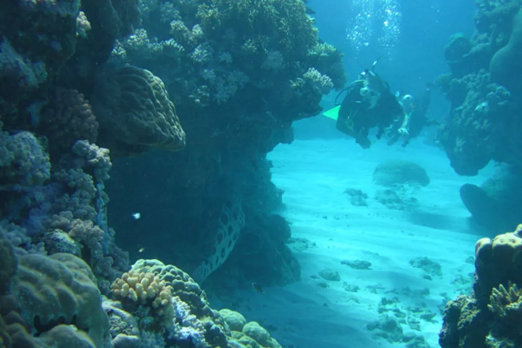 7 Enthralling Honeymoon Destinations For Snorkel Lovers