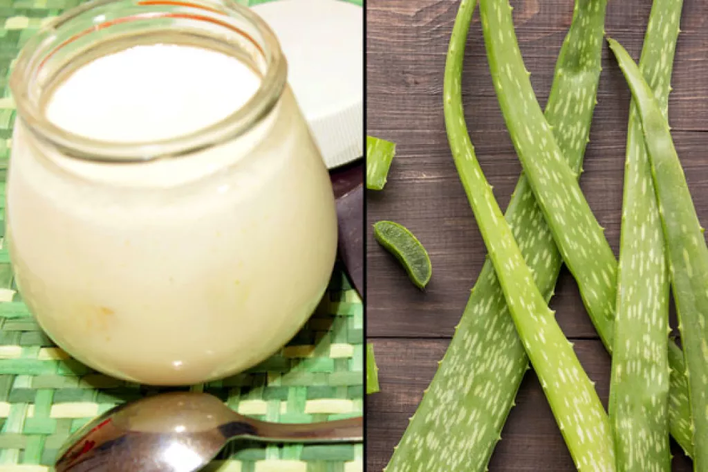 7 DIY Aloe Vera Hair Masks That Boost Hair Growth And Increase Volume