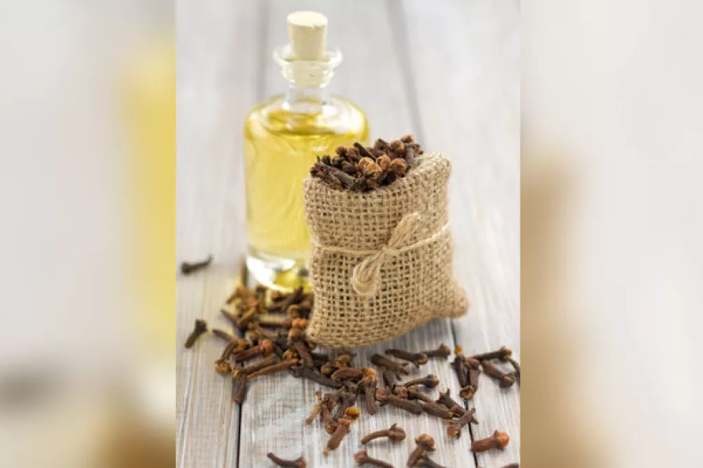 Health Benefits Of Clove Oil