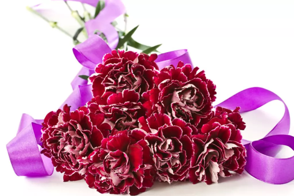 11 Romantic Flowers Other Than Roses To Impress Your Sweetheart This