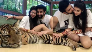 Charu Asopa And Rajeev Sen Get Trolled For Posing With A Sedated Tiger During Their Honeymoon