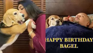 Mohena Kumari Singh Wishes Her Pooch With An Adorable Video Which Shows Hubby, Suyesh's Love For Him