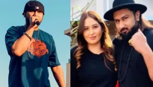 Honey Singh Domestic Violence Case: Delhi Court Orders In-Camera Proceedings