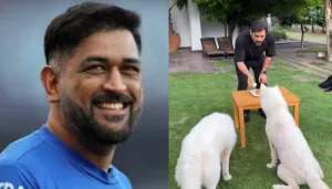 MS Dhoni Swoons Millions Of Hearts As He Thanks His Fans For B'Day Wishes With An Adorable Video
