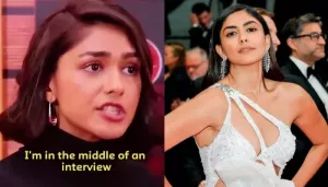 Mrunal Thakur Says How The Media Ran Behind A Star Kid Leaving Her Interview Mid-Way, Netizen Reacts