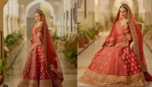 'Amber-Dhara' Fame, Kashmira Irani Wore A Wedding Lehenga Designed By Her Brother, Reza Shariffi