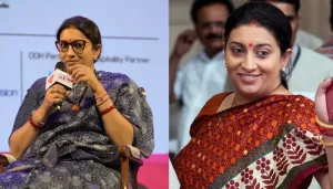 Smriti Irani Opens Up About Unknown Side Of Her Career, Adds, 'Many Parts Of My Media Background...'
