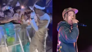 Travis Scott's Concert In Delhi, 'FE!N' Singer Gets Pulled By Fans As He Steps Down From The Stage