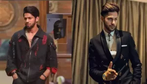 Did Baseer Ali Take A Dig At 'Bigg Boss' Makers? Prince Narula Called His Elimination 'Saazish'