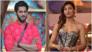 'Bigg Boss 19', Baseer Ali And Nehal Reveal Relationship Status After Elimination, 'I Cherish Our..'