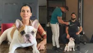 Samantha And Naga Chaitanya Are Co-Parenting Their Fur Babies Post Divorce? Netizens Find Out