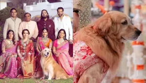 Anant Ambani Pays An Emotional Tribute To Pet Dog, Happy, Used To Travel In A Private Rs. 3 Cr SUV