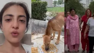 Harjas Sethi, AKA Vellijanani Cries After Being Beaten Up And Harassed For Feeding Dogs, 'Kicked Me'