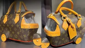 Louis Vuitton Introduces Autorickshaw Bag Worth Rs. 35 Lakh, Netizens Say, 'Middle-Class Struggle..'