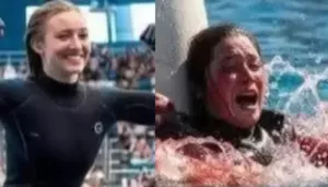 Maris Ellington's Terrifying Last Moments As Orca Trainer And Her Encounter With Killer Whale