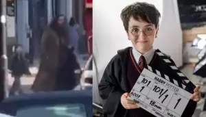 Harry Potter And Hagrid's First Glimpse Surfaces, 7 Overlooked Characters Who Can Be HBO Show's Part