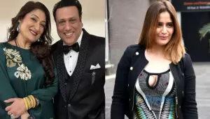 Govinda And Sunita Divorce, Actor's Niece, Arti Singh Pens Cryptic Post Amid Rumours, '..Move On'