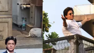 SRK Allows Street Dog To Rest Inside His Rs. 200 Crore Mannat Netizens Say, 'Kind Hearted Badshah'