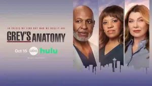 'Grey's Anatomy' Returns With Season 23, All About The New Chief Of Surgery And Surprise Pregnancy