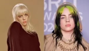 Billie Eilish's Alleged Stalker Dies In Horrific Train Accident, All We Know About Prenell Rousseau