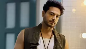 Is Gaurav Khanna Entering Lock Upp 2 After Akanksha's Divorce Announcement? Truth Behind Viral Claim