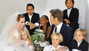 Brad Pitt Loses Custody Of Twins Knox And Vivienne, What The Kids Have Said About The Estrangement