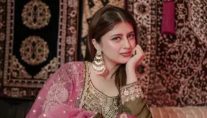 Who Is 'BB 20's' Most Popular Contestant Arishfa Khan? Has More IG Followers Than Kareena Kapoor