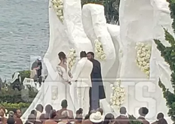 એજે બ્રાઉન લગ્ન
