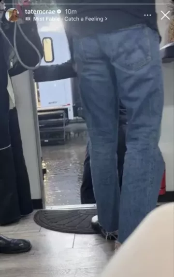 ટેટ આઈજી