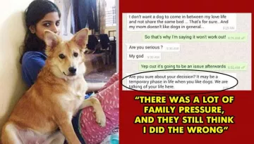 A Girl Rejected A Guy Because He Disliked Her Dog And Didn't Want To Share The Same Bed