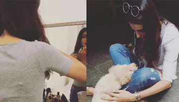 After 4 Months Of Marriage, She Was Thrown Out By Husband! Heartbroken, She Chopped Off Her Hair