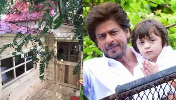 Shah Rukh Gifts A Private Tree House To Son AbRam; This Tree House Is Every Kid's Dream Come True