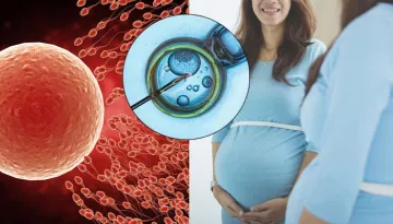 Everything You Need To Know About IVF Treatment Before Opting For It