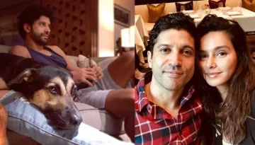 Farhan Akhtar Shared Pic With His Dog Lazying On Couch, Shibani Dandekar's Reaction Is Pure Love