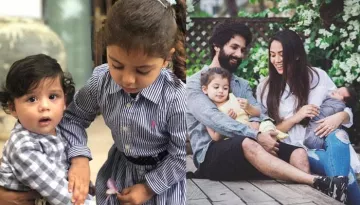 Shahid Kapoor Reveals How Mira Rajput Kapoor Reacts When Kids Misha And Zain Get Trolled