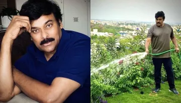 Chiranjeevi Recreates An Old Picture Cooking With Wife From Vacation Days To This 'Jail' Lockdown