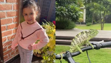 MSD's Little Ziva Makes An Exotic New Friend In Their Garden, Mumma Sakshi Says It's A 'Tourist'