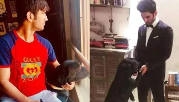Sushant Singh Rajput's Dog, Fudge Misses Him As He Roams Around The Late Actor's Bike, Video Inside