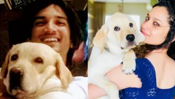 Sushant Singh Rajput And Ex, Ankita Lokhande's Dog, Scotch's IG Handle Pens A Moving Note For Him