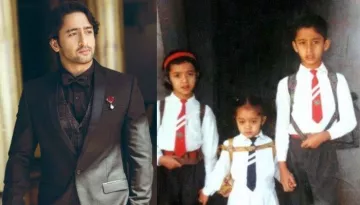 Shaheer Sheikh's Biography: Unknown Facts, Work In Indonesia, Multiple Affairs, Marriage, And More