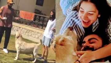 Anushka Sharma, Virat Kohli And Pet, Dude's Paw-Some 'Special Moments' Are Too Priceless For Words