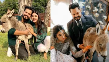 Pakistani Youtuber, Azlan Shah Gifts A Baby Donkey To His Bride On Their 'Walima' Due To This Reason