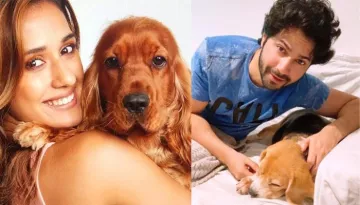 Varun Dhawan To Disha Patani: Celebs Who Share An Adorable Bond With Their Pets